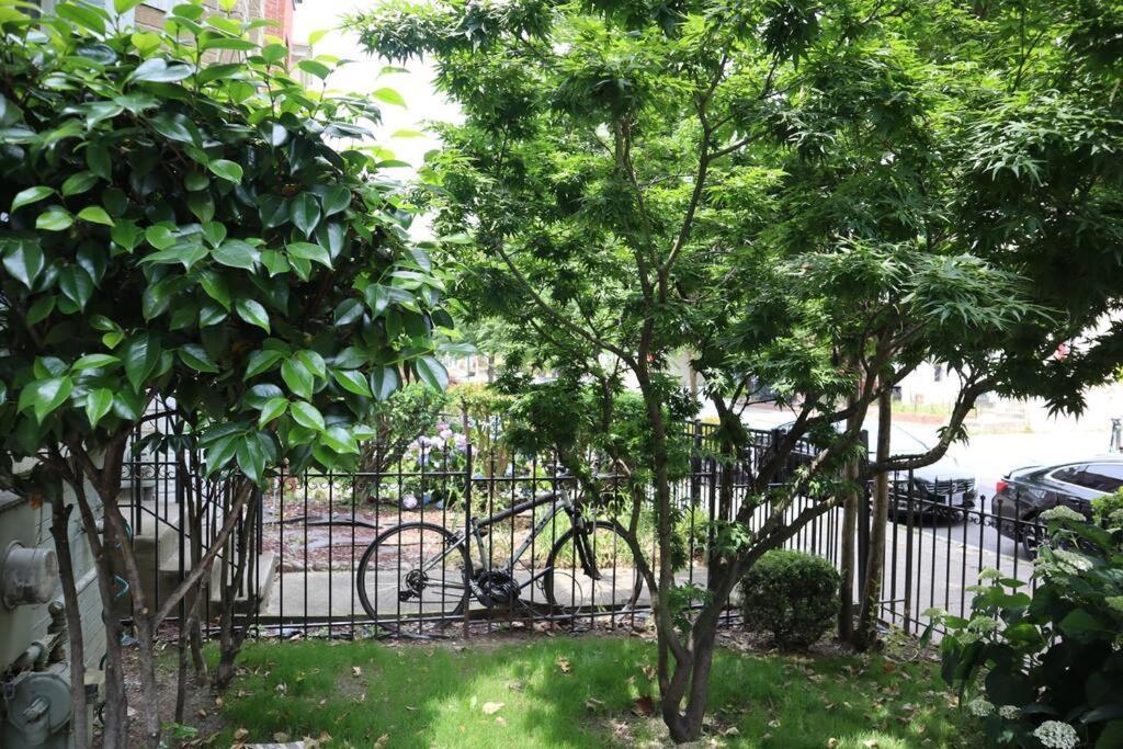3-Bedroom House With Cute Patio Explore Dc On Foot Ουάσινγκτον Εξωτερικό φωτογραφία